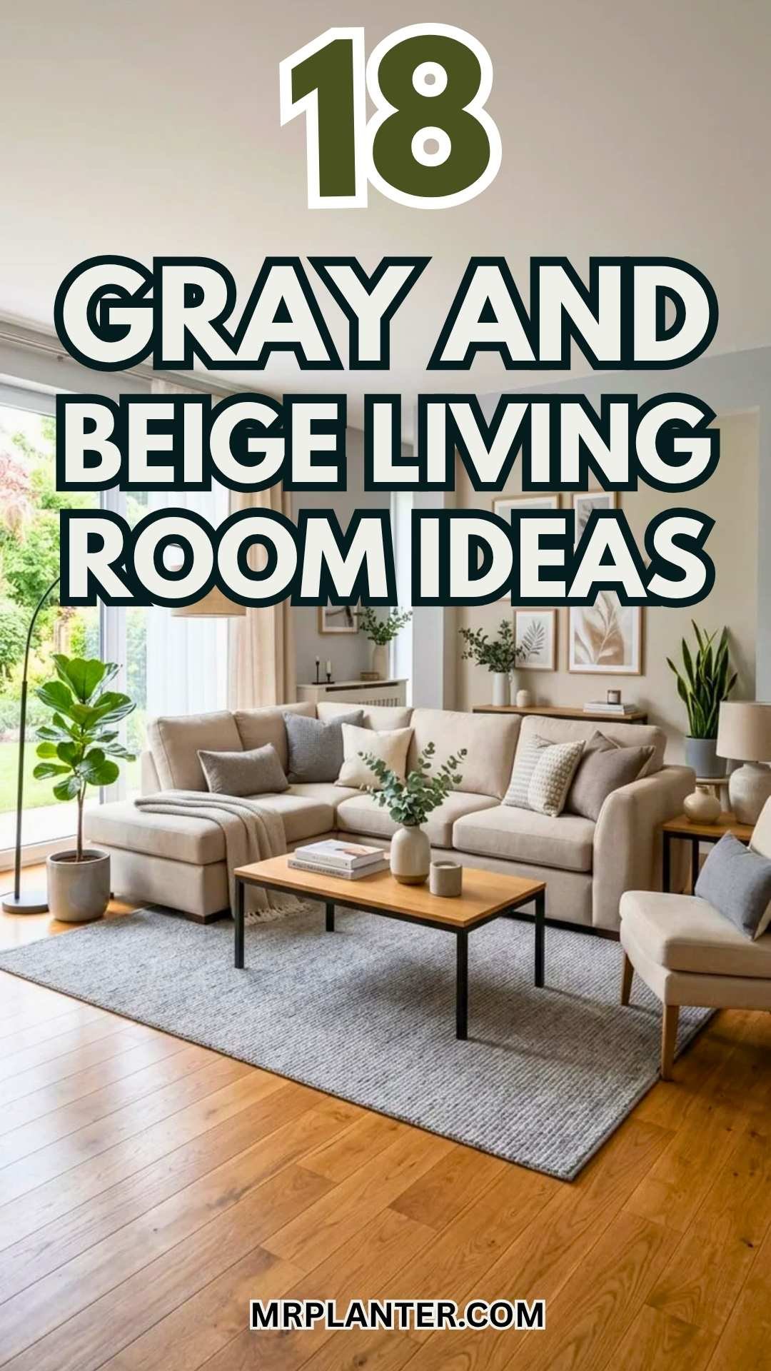 Gray And Beige Living Room Ideas