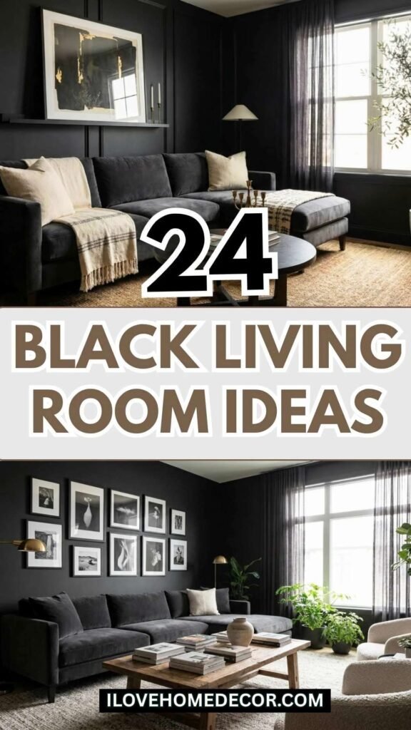 Black Living Room Ideas