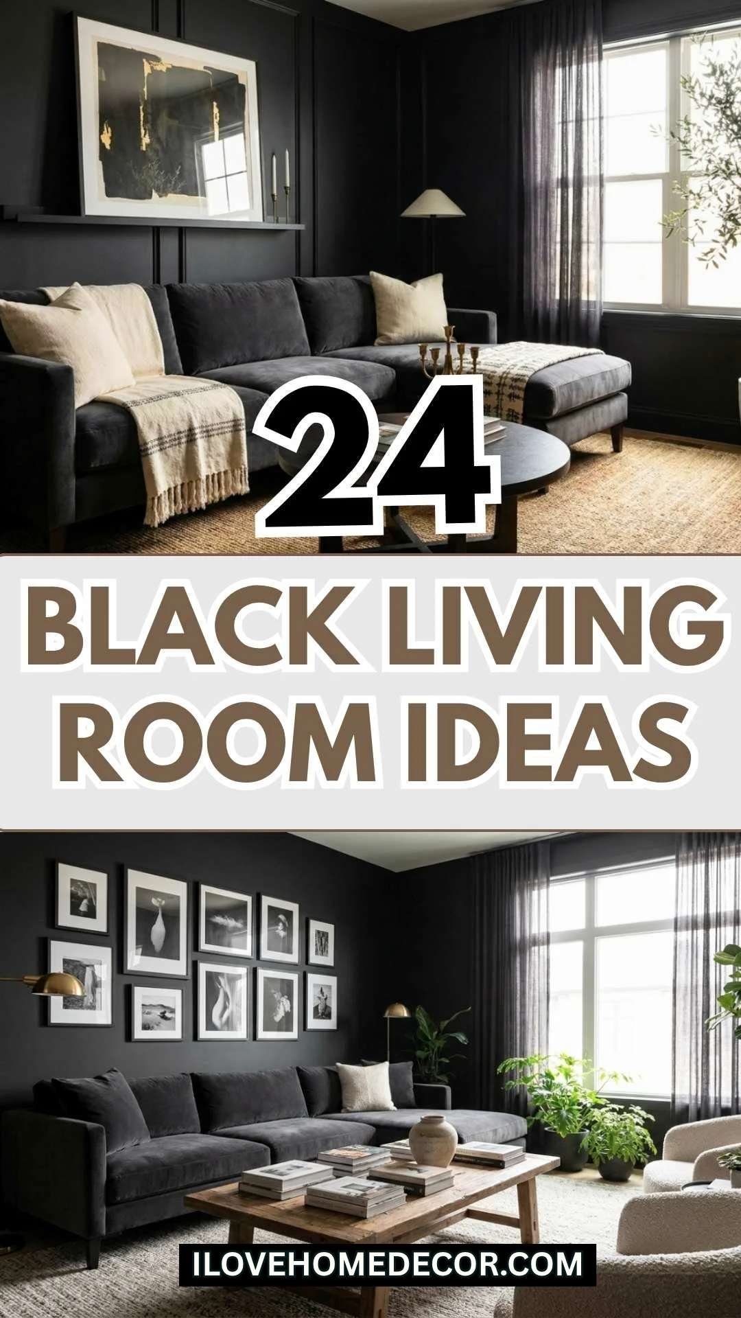 Black Living Room Ideas